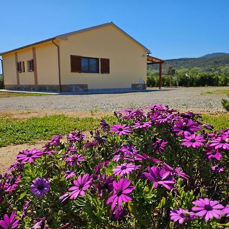 Agriturismo Fusini Magliano in Toscana Exteriör bild