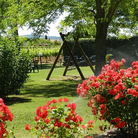 Agriturismo Fusini Magliano in Toscana Exteriör bild