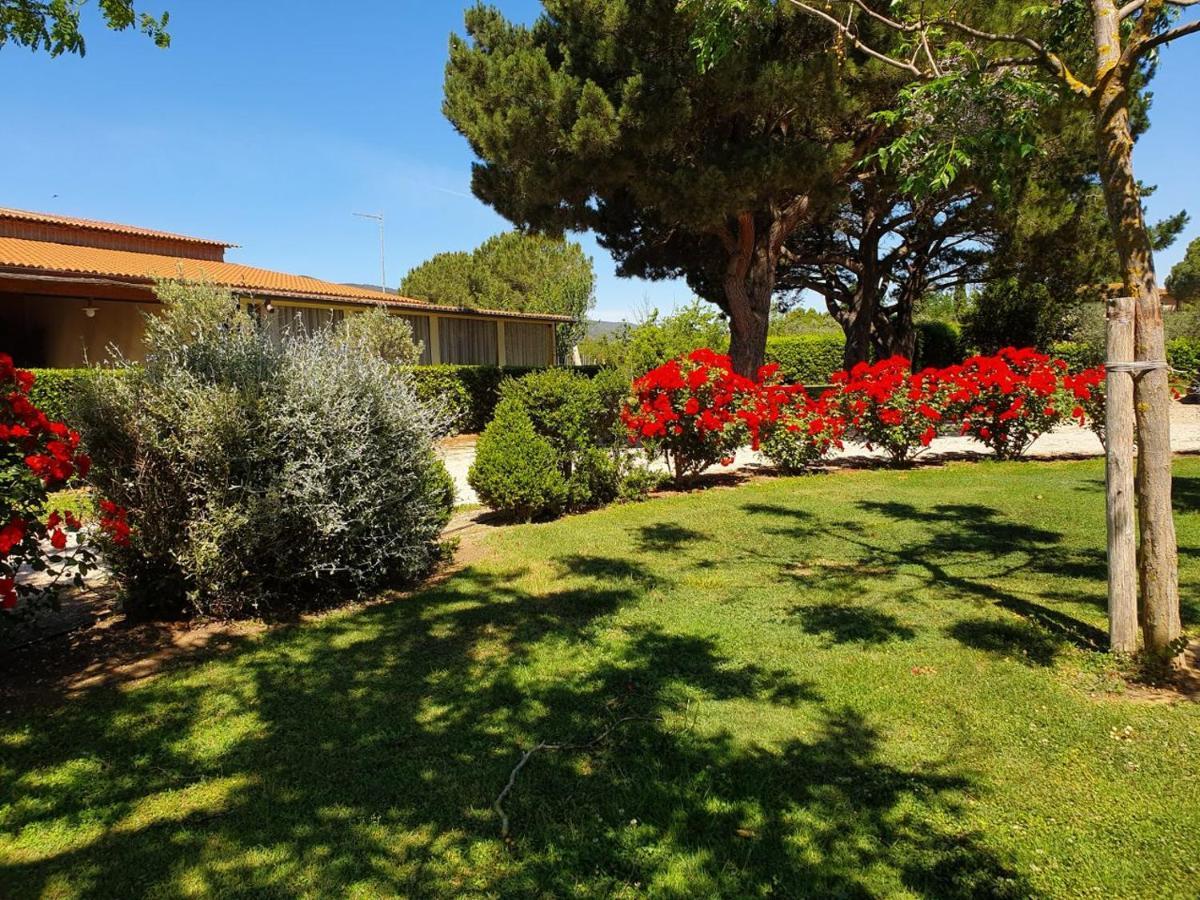 Agriturismo Fusini Magliano in Toscana Exteriör bild