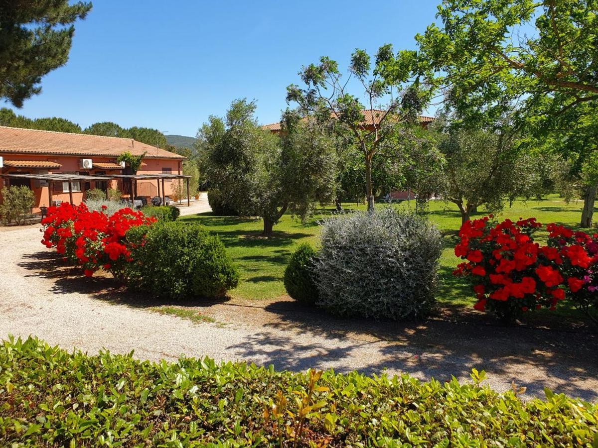 Agriturismo Fusini Magliano in Toscana Exteriör bild