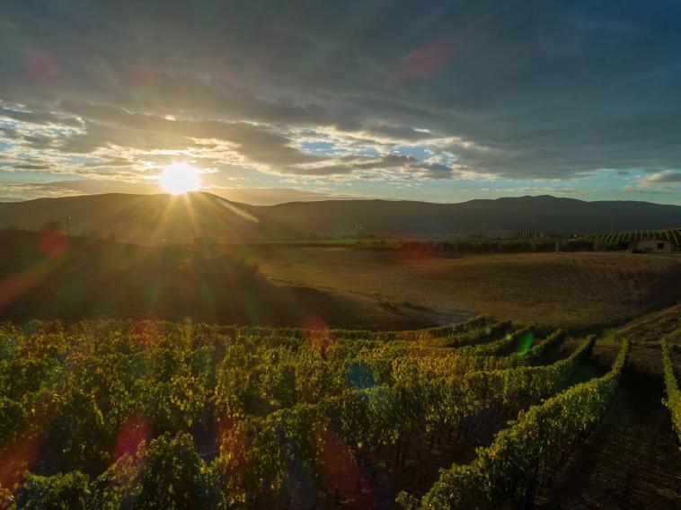 Agriturismo Fusini Magliano in Toscana Exteriör bild