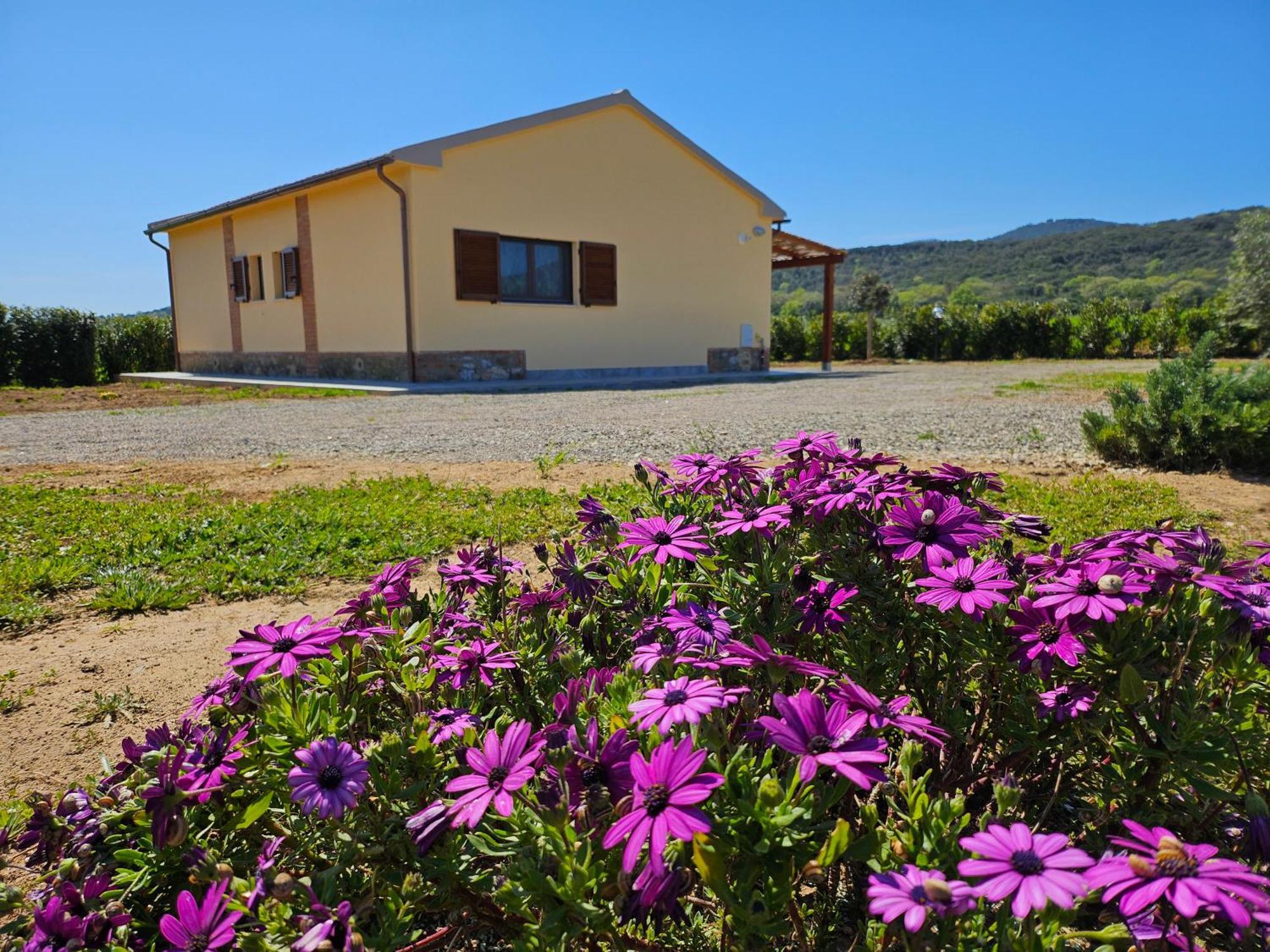 Agriturismo Fusini Magliano in Toscana Exteriör bild