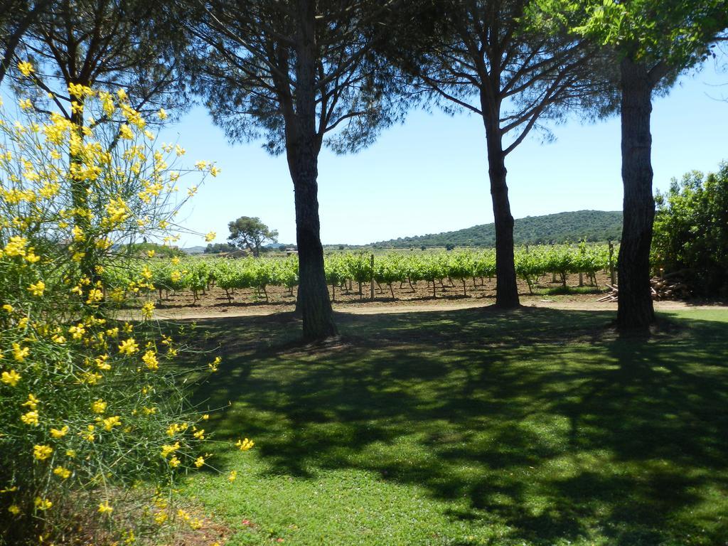 Agriturismo Fusini Magliano in Toscana Exteriör bild