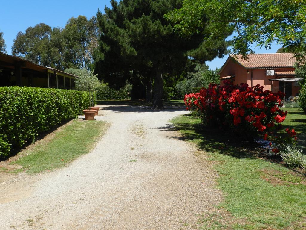 Agriturismo Fusini Magliano in Toscana Exteriör bild