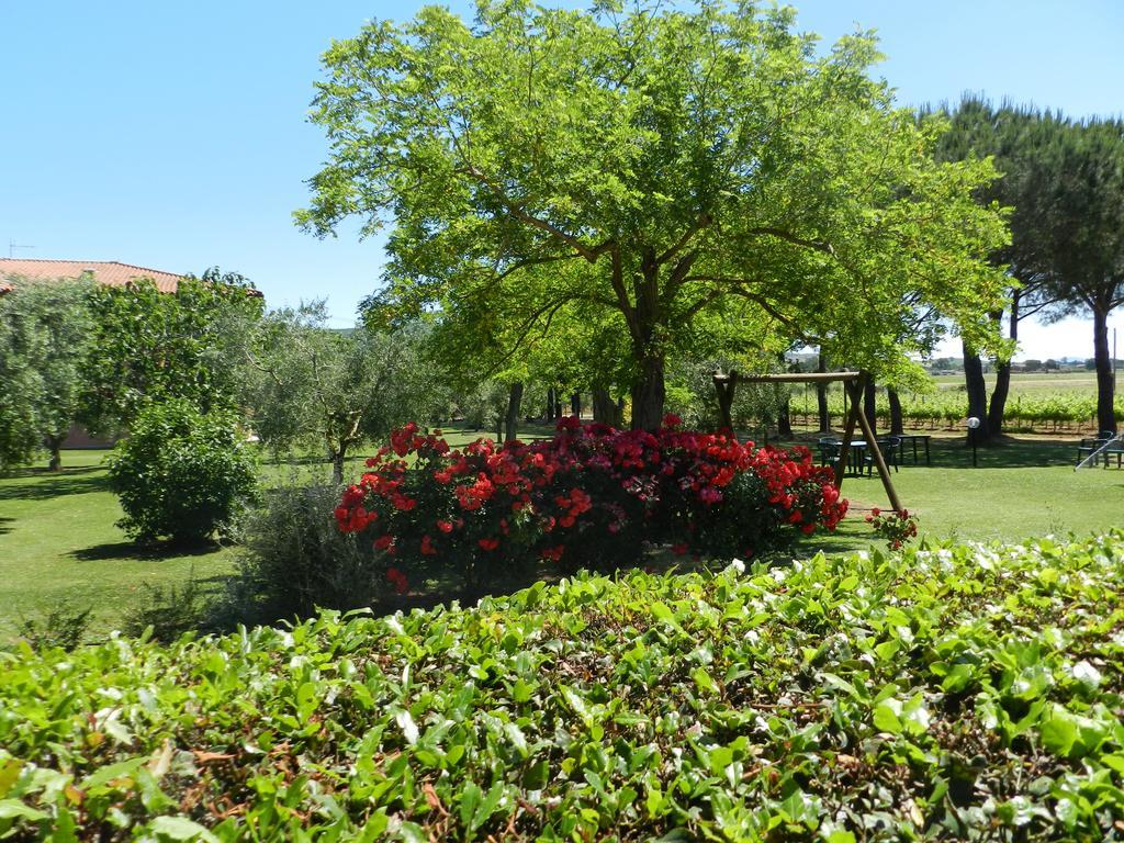Agriturismo Fusini Magliano in Toscana Exteriör bild