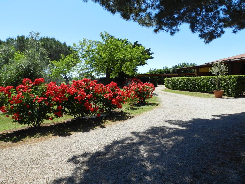 Agriturismo Fusini Magliano in Toscana Exteriör bild