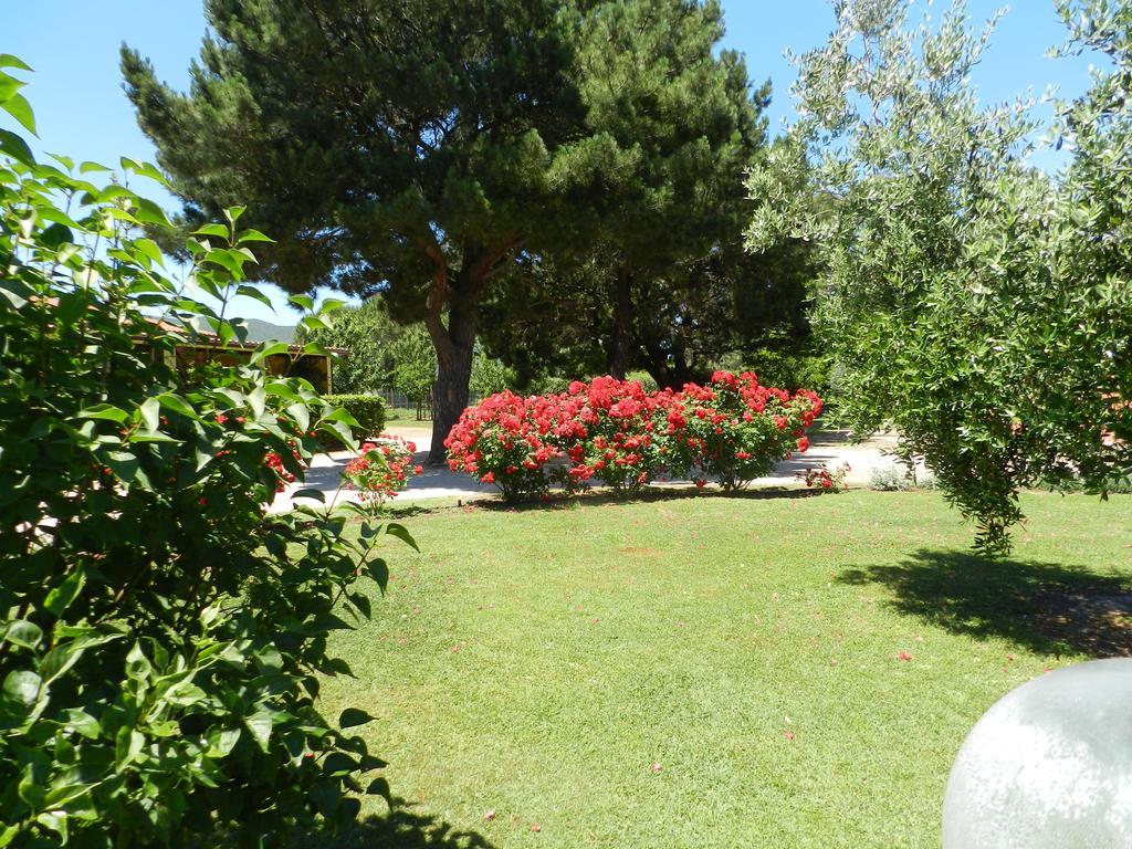 Agriturismo Fusini Magliano in Toscana Exteriör bild