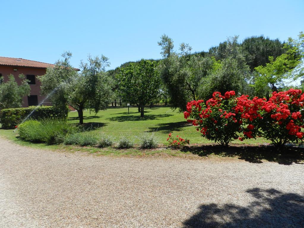 Agriturismo Fusini Magliano in Toscana Exteriör bild