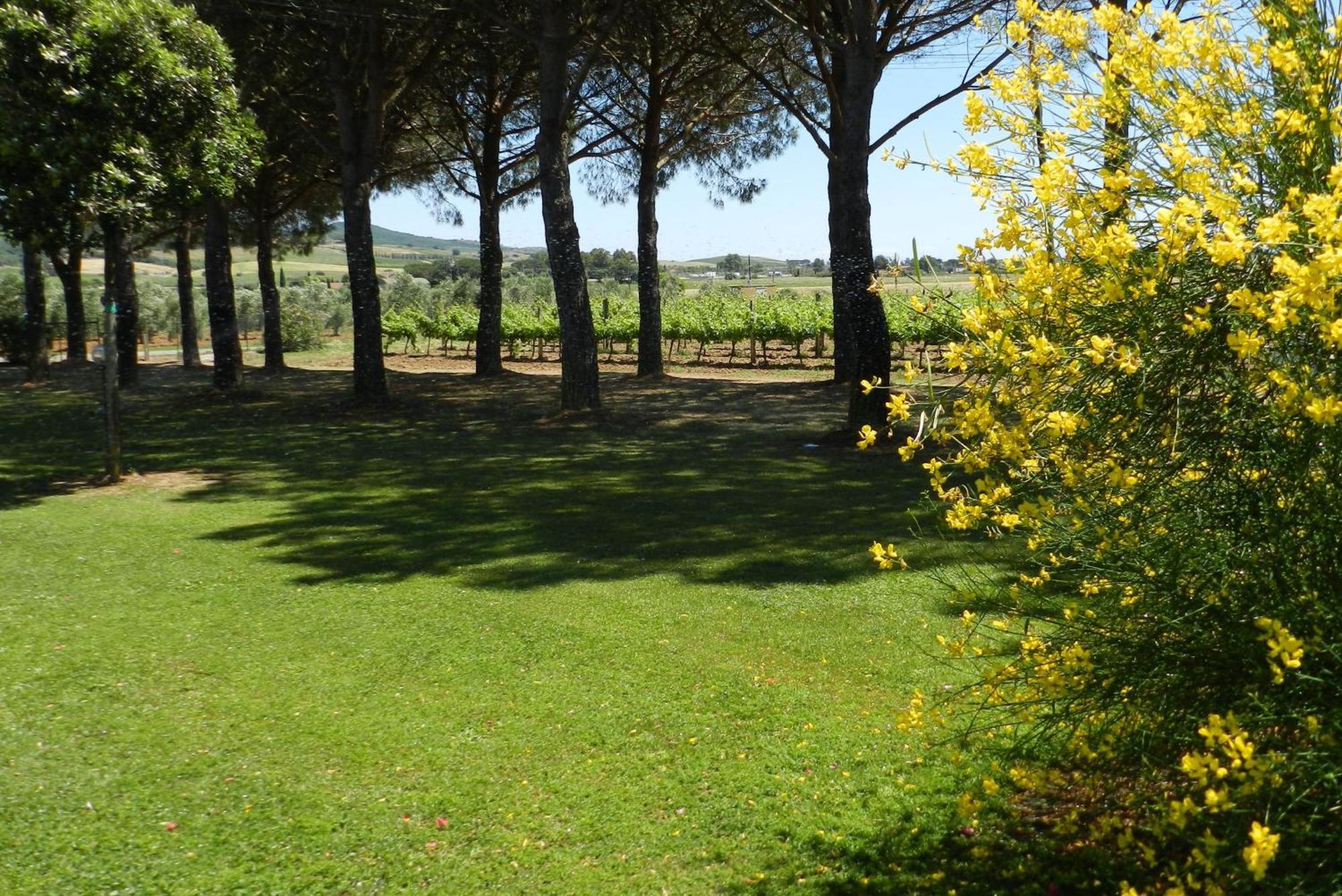 Agriturismo Fusini Magliano in Toscana Exteriör bild