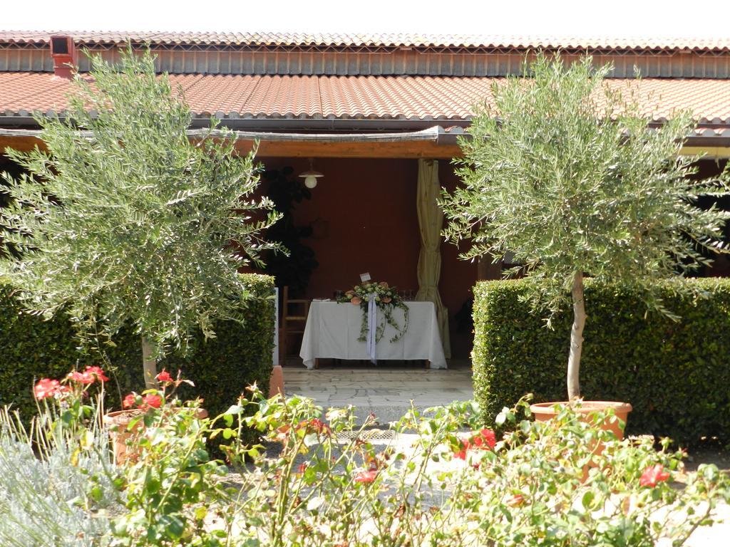 Agriturismo Fusini Magliano in Toscana Exteriör bild