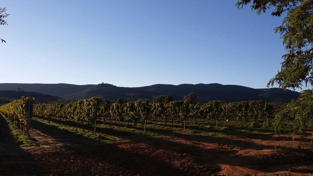 Agriturismo Fusini Magliano in Toscana Exteriör bild