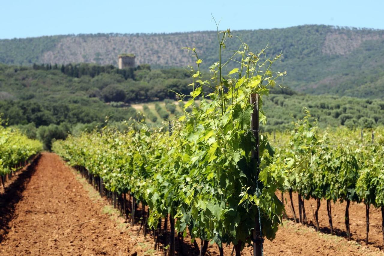 Agriturismo Fusini Magliano in Toscana Exteriör bild