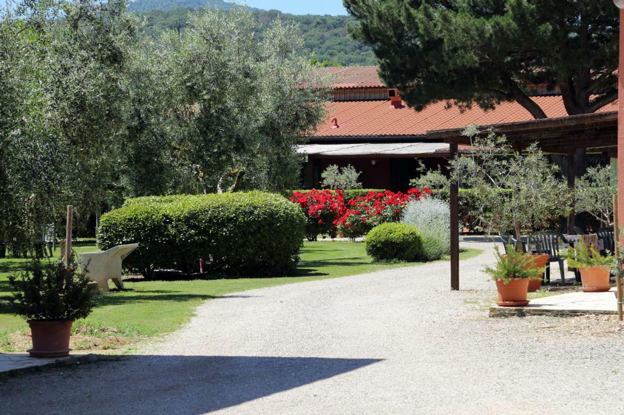 Agriturismo Fusini Magliano in Toscana Exteriör bild