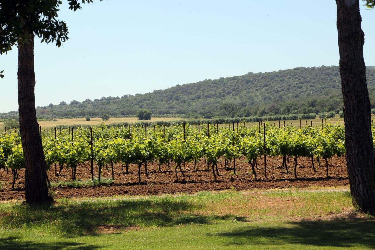Agriturismo Fusini Magliano in Toscana Exteriör bild
