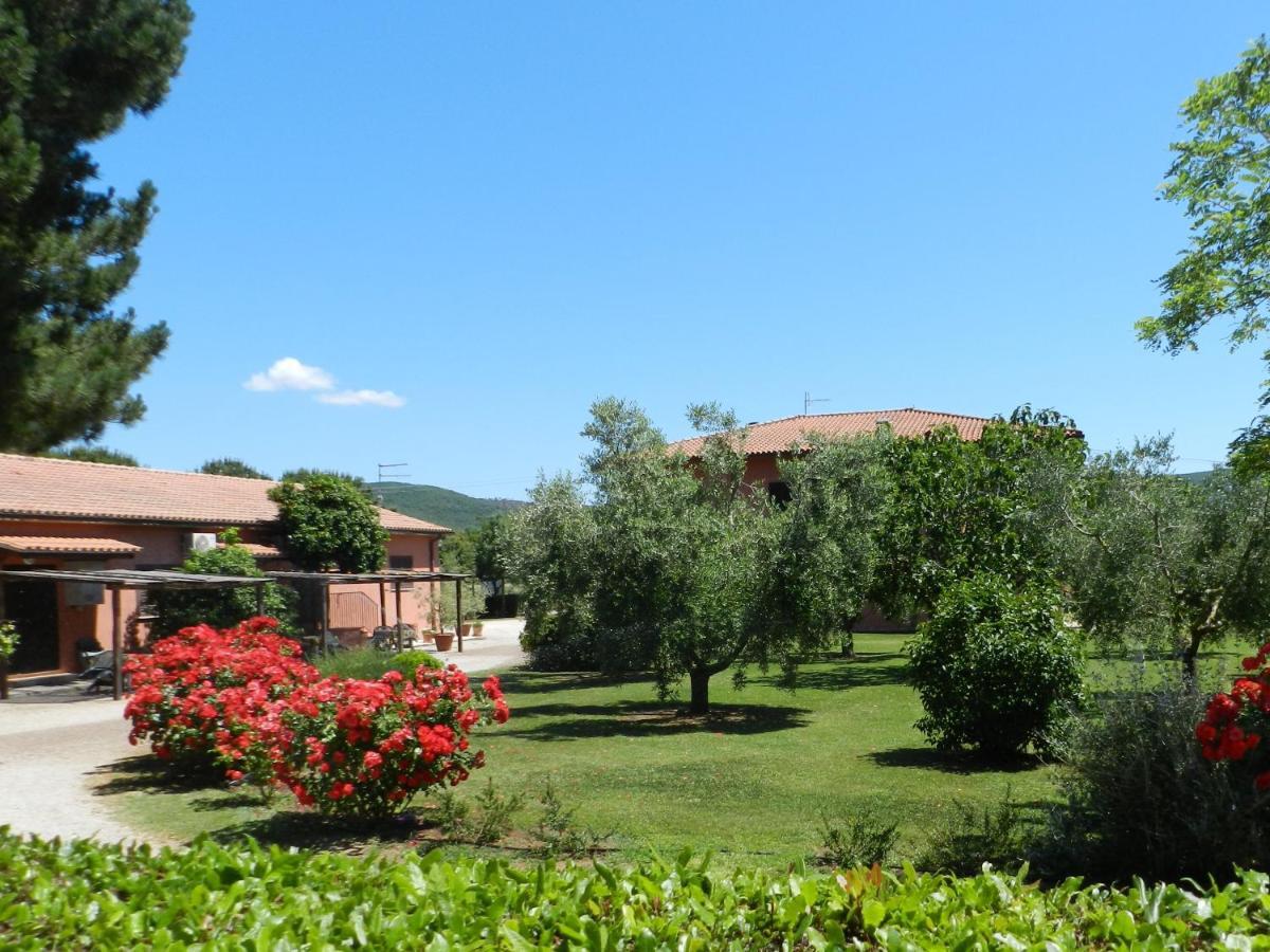 Agriturismo Fusini Magliano in Toscana Exteriör bild