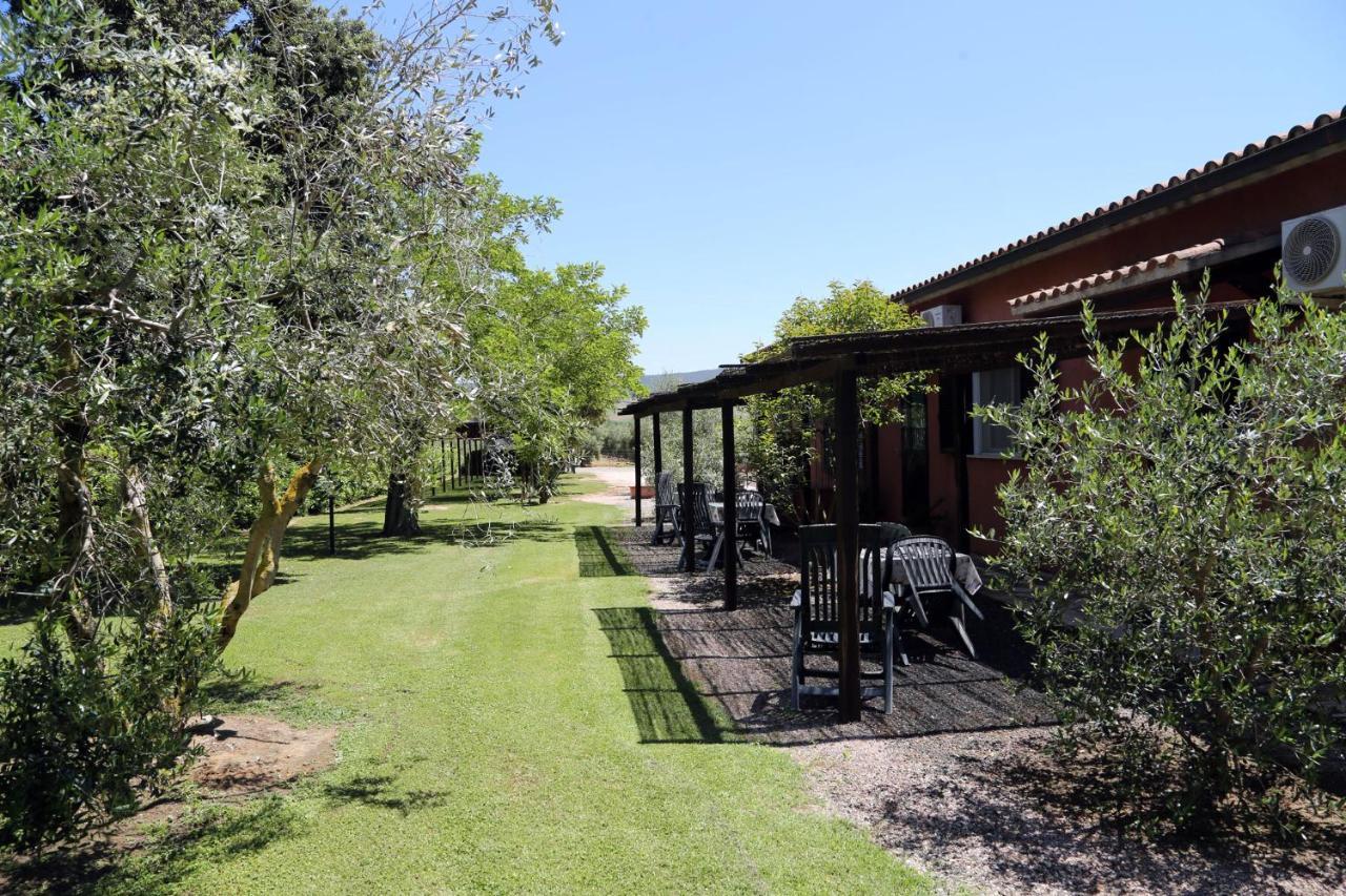 Agriturismo Fusini Magliano in Toscana Exteriör bild